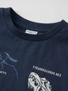 Kinder T-Shirt mit Dino-Print 3