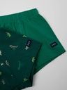2-Pack Knaben Boxershorts Dino-Print 2