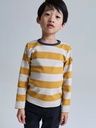 Kinder Langarmshirt gestreift Bio-Baumwolle 2