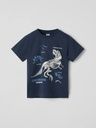 Kinder T-Shirt mit Dino-Print