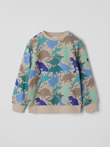 [01-37314.1] Jungen Pullover mit Dino-Print (92)